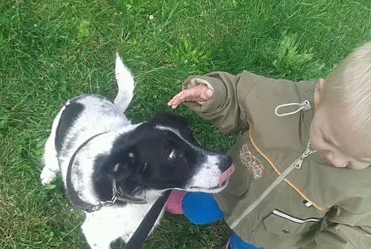 Pokochaj Dropka, młodziutkiego, bardzo łagodnego p