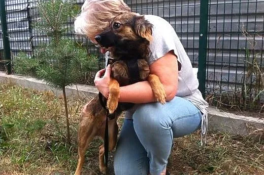Fryga – tylko mnie kochaj!,  mazowieckie