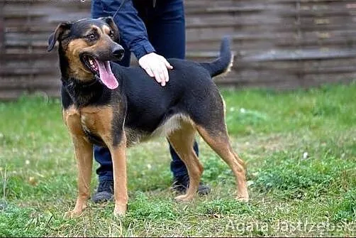 Daj domek! Ot, tak - dla Draki :),  warmińsko-mazu