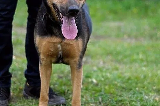Daj domek! Ot, tak - dla Draki :),  warmińsko-mazu