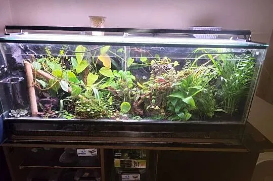 Oświetlenie chihiros wrgb 2 pro 120cm, Podlaskie, Białystok