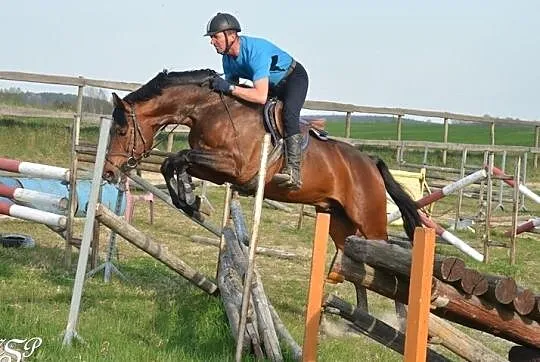 Kupie konia, , Łaziska