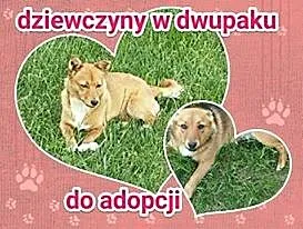 MAJKA I KAJKA, malutkie, nakolankowe siostrzyczki