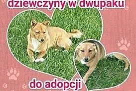 MAJKA I KAJKA, malutkie, nakolankowe siostrzyczki 