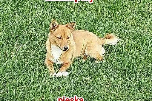 MAJKA I KAJKA, malutkie, nakolankowe siostrzyczki 