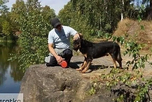 Daj mi cierpliwy kochający i odpowiedzialny domek na zawsze, Małopolskie, Kraków