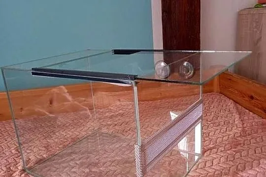 Terarium.