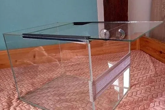 Terarium., Lubuskie, Gorzów Wielkopolski