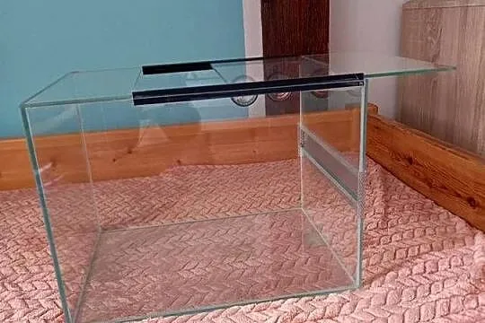 Terarium., Lubuskie, Gorzów Wielkopolski