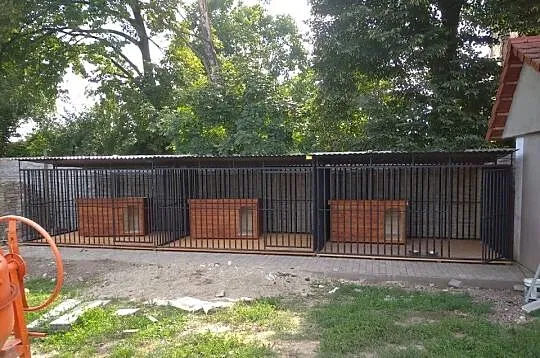 B135 Kojec dla Psa 4x2 , Kojce | dowolne rozmiary | DLA PSA | - ESSTAL, Śląskie, Dąbrowa Górnicza