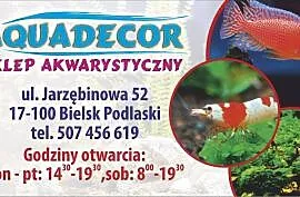 Ryby do akwarium sklep AQUADECOR, Bielsk Podlaski