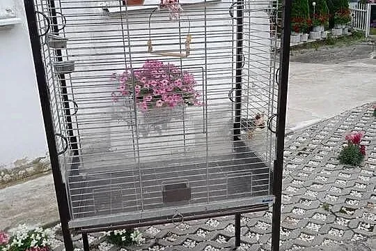 Klatka dla dużej papugi