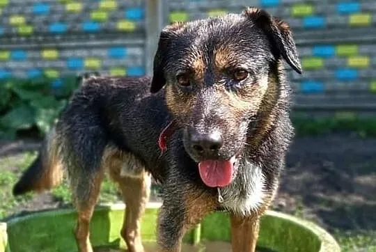Adoptuj Ciapka!, Łódzkie, Łódź