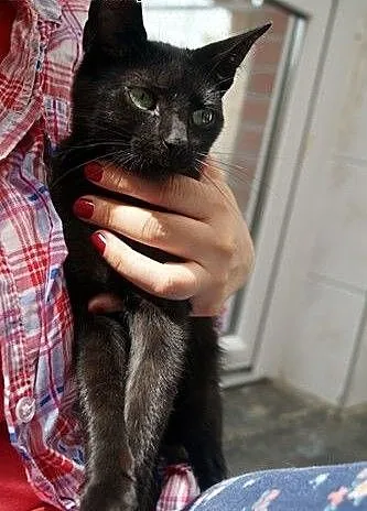 Naomi......, łódzkie Łódź