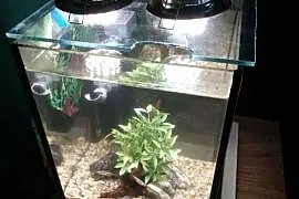 Akwarium kostka 10l. Toruń