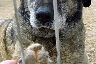 Klara nie ma już czasu czekać na dom... a to tak c