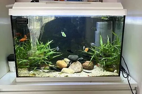 Akwarium juwel 60/40/30