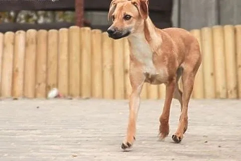 Wilma czeka na tego jedynego czlowieka,  mazowieck