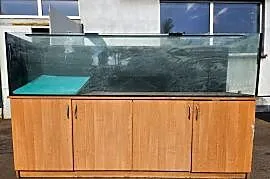 Akwarium 500 l - 200x50x50 z osprzętem