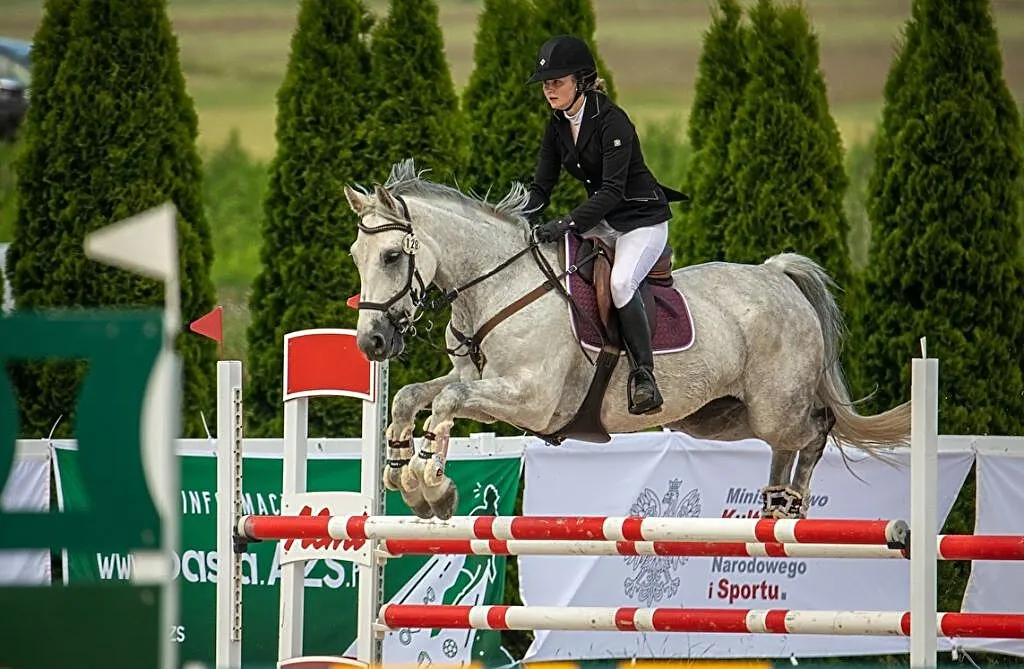 Horalek, ,