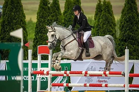 Horalek