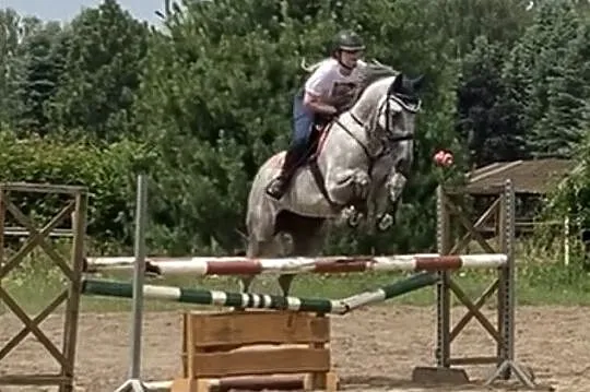 Horalek, , 