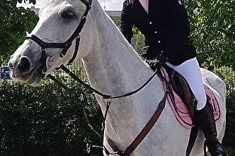 Horalek, , 