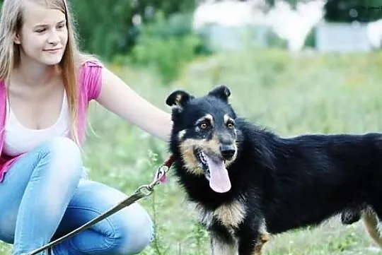 Oskar- bardzo pragnie być Twoim przyjacielem!