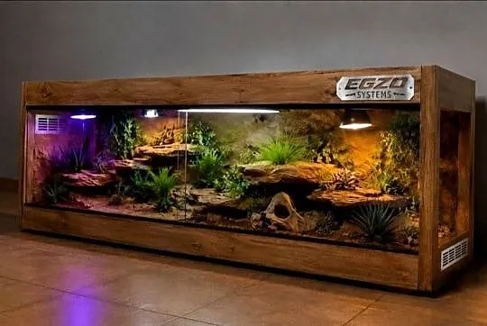 Terrarium hodowlane dla gekona lamparciego żółwia greckiego