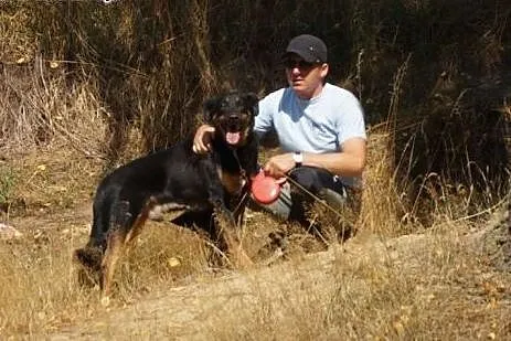 Fabianek szuka domu w którym będzie kochany,  Kundelki cała Polska