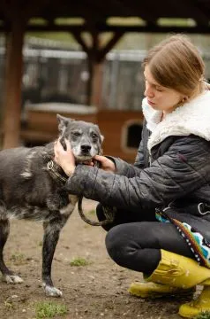 Hektor - cudowny, wesoły psi dziadeczek szuka domu!  Historia Hektora jest bardzo smutna... Wierny s, , Warszawa