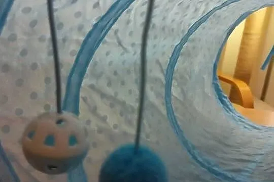 Tunel dla kociaka, Kujawsko-pomorskie, Włocławek