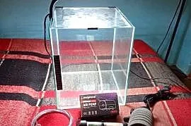 Akwarium Nano akuarel.