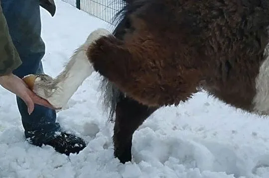 ROJBER PO SĘDZIA, , Rzgów