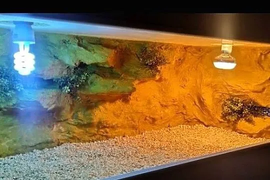 Terrarium dla żółwia greckiego gekona lamparciego agamy brodatej