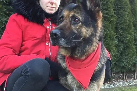 Matylda, urocza, kochana sunia szuka domu!