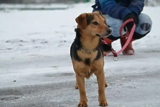 Zgodny i przyjazny Korek !