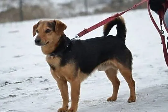 Zgodny i przyjazny Korek !