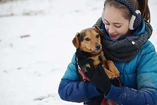 Zgodny i przyjazny Korek !