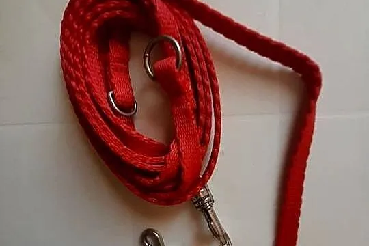 Sprzedam regulowaną smycz dla małego psa dł.2m, Warmińsko-mazurskie, Olsztyn