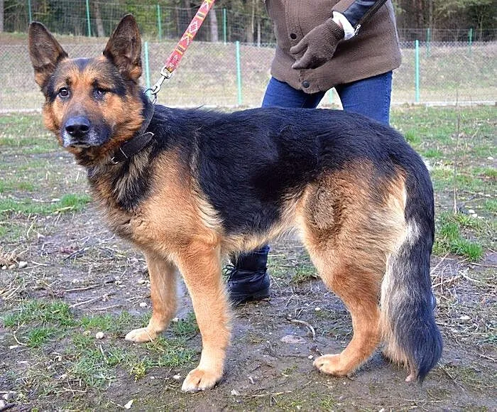 Arni - dla wyjątkowych ludzi :)