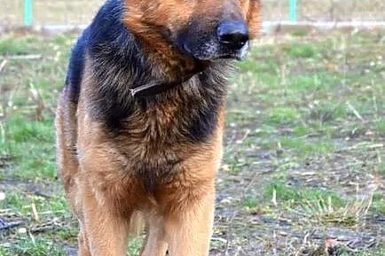 Arni - dla wyjątkowych ludzi :)
