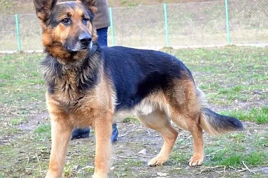 Arni - dla wyjątkowych ludzi :)