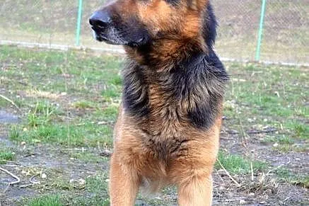 Arni - dla wyjątkowych ludzi :)
