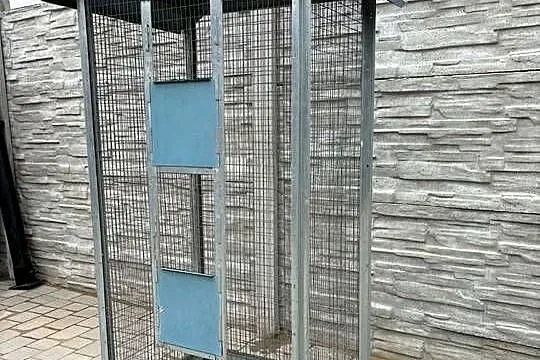 Klatka bardzo fajna i solidna niemiecka technologia.Transport.Wysyłka, Wielkopolskie, Ostrów Wielkopolski