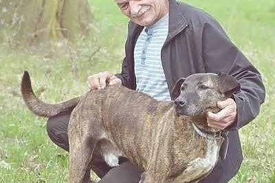 TERI_Oczy wpatrzone w człowieka bez pamięci___Poko