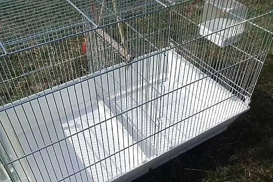 Sprzedam klatkę dla ptaków, Wielkopolskie, Dąbie