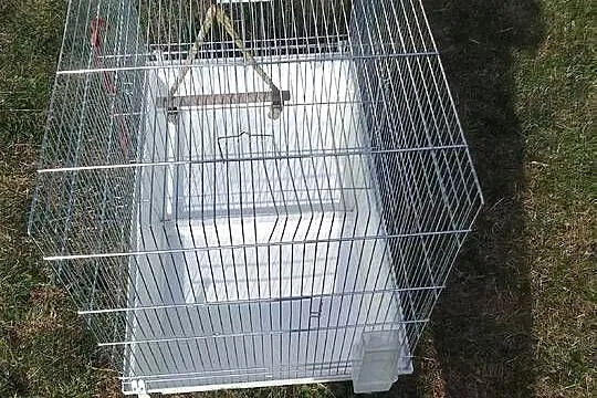 Sprzedam klatkę dla ptaków, Wielkopolskie, Dąbie