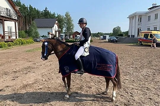 Sprzedam kuca gr.C rasy new forest pony, , Otomin