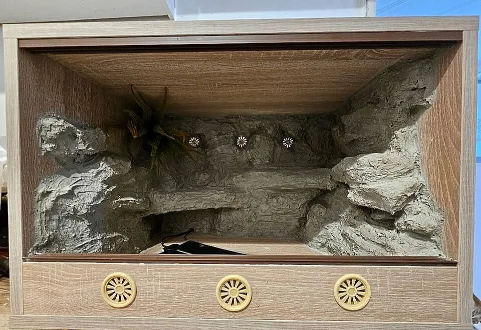 Terrarium 60x40x40, Śląskie, Chorzów